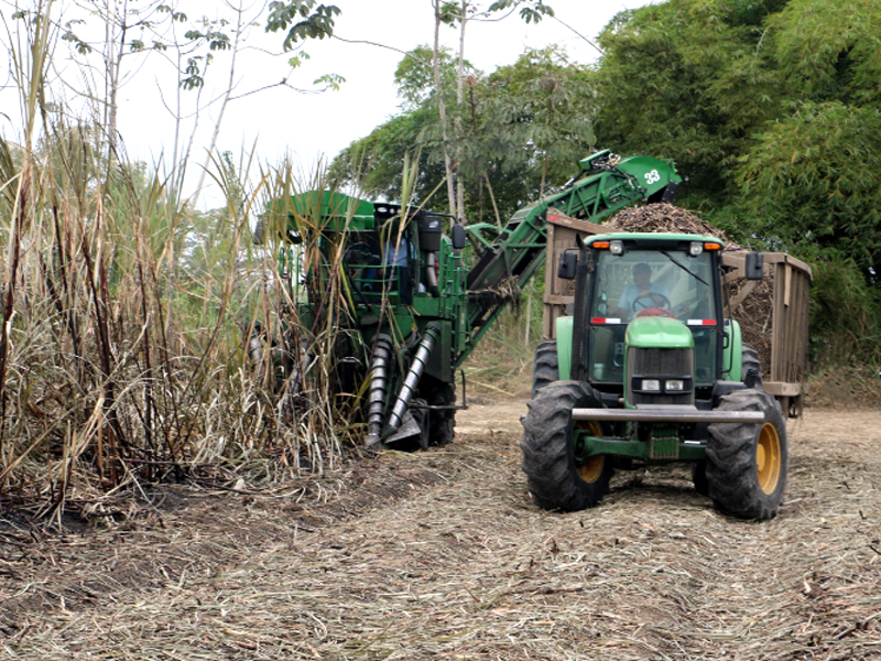 2023: Cerca de 14.8 millones de galones de Ecopaís se despacharon en 11 provincias